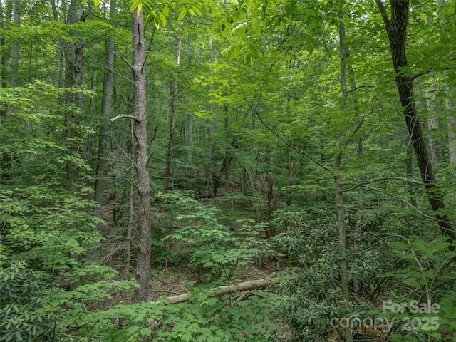 000 White Rock Branch Rd, Candler, NC 28715
