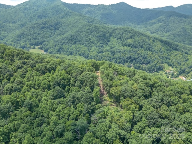 000 White Rock Branch Rd, Candler, NC 28715