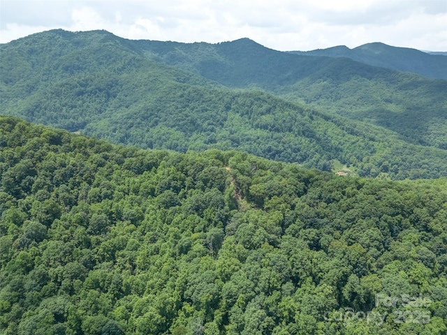 000 White Rock Branch Rd, Candler, NC 28715