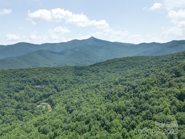000 White Rock Branch Rd, Candler, NC 28715