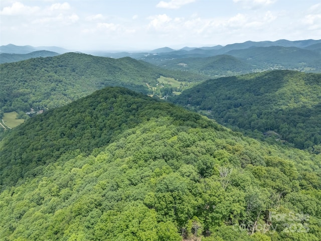 000 White Rock Branch Rd, Candler, NC 28715