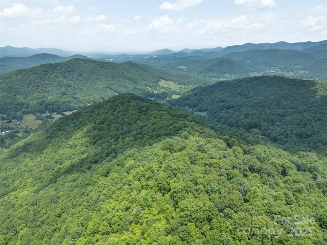 000 White Rock Branch Rd, Candler, NC 28715