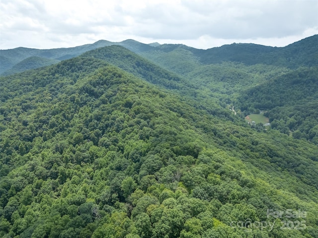 000 White Rock Branch Rd, Candler, NC 28715