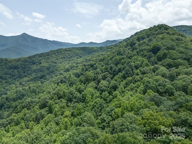 000 White Rock Branch Rd, Candler, NC 28715