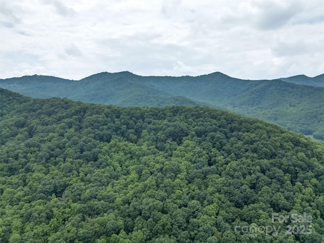 000 White Rock Branch Rd, Candler, NC 28715