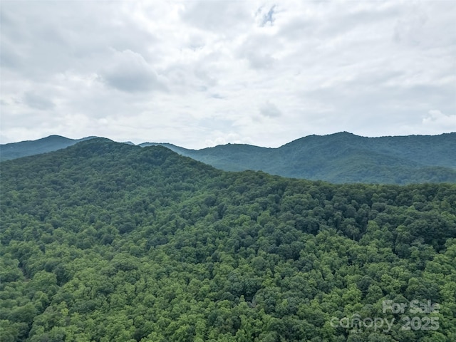 000 White Rock Branch Rd, Candler, NC 28715