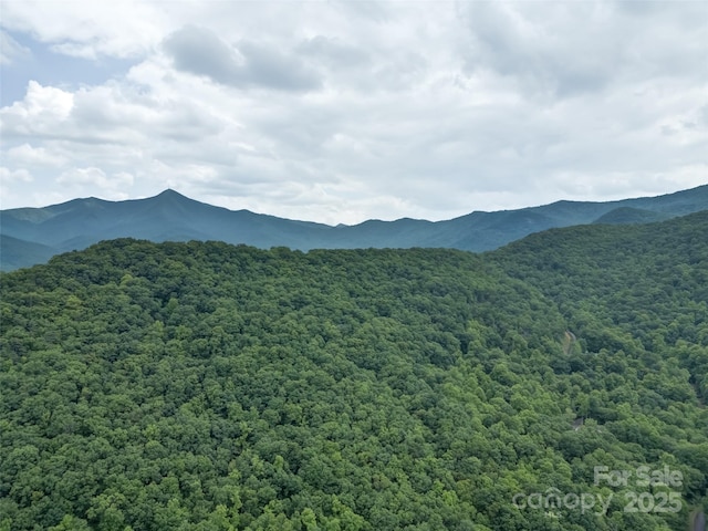 000 White Rock Branch Rd, Candler, NC 28715