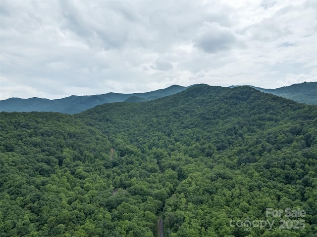 000 White Rock Branch Rd, Candler, NC 28715