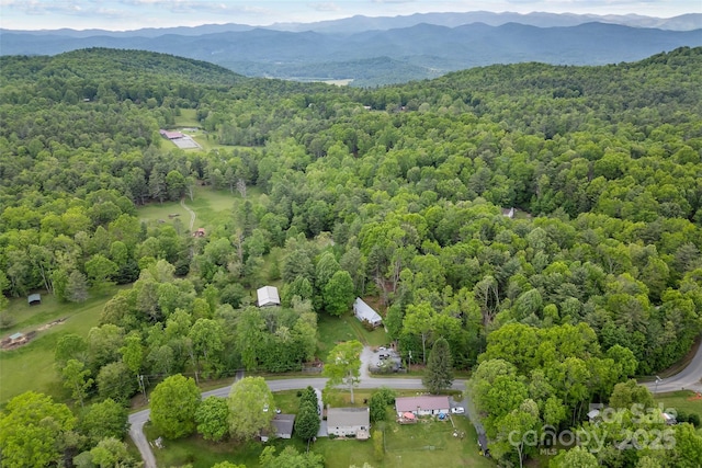 bird's eye view of a forest and a mountainous background