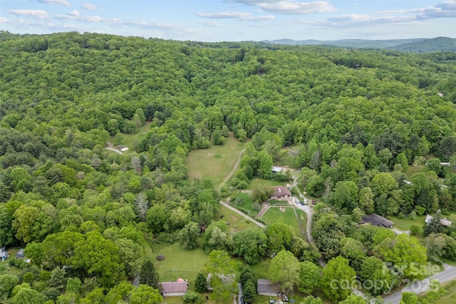 bird's eye view of a heavily wooded area