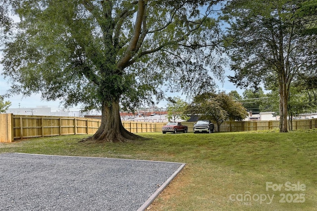 view of yard