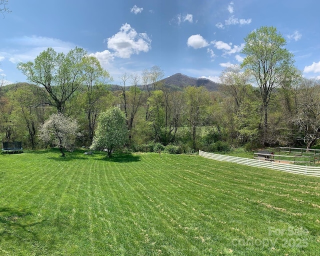 view of grassy yard featuring a mountain view and a view of countryside