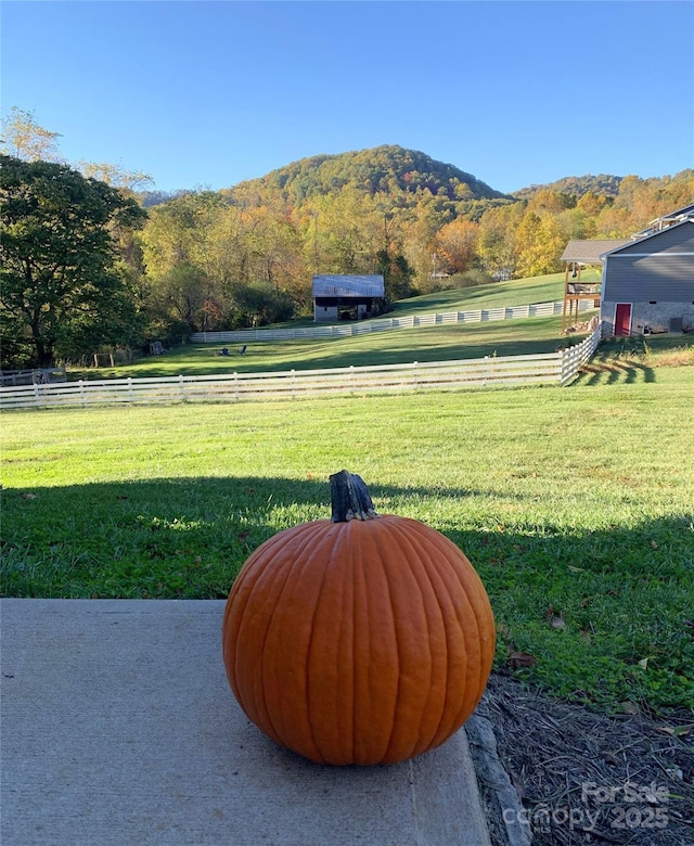 view of yard with a mountain view and a view of rural / pastoral area