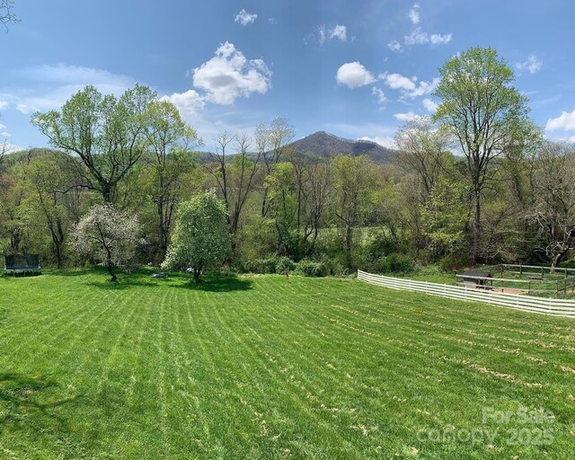 123 Dapple Rd, Candler, NC 28715 - view of green lawn with a mountain view, a view of countryside, and a trampoline