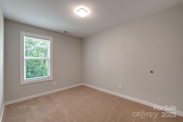 123 Dapple Rd, Candler, NC 28715 - unfurnished room featuring light colored carpet, baseboards, and a textured ceiling