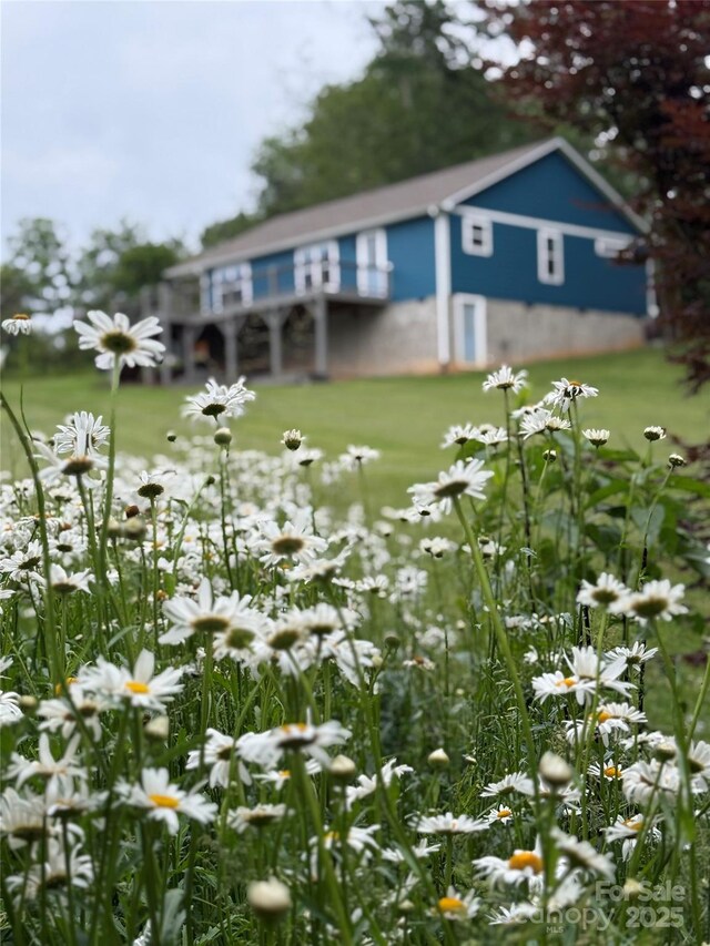 123 Dapple Rd, Candler, NC 28715 - view of yard
