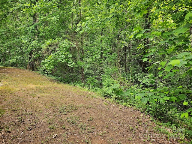 3191 Piedmont Rd, Morganton, NC 28655 - view of wooded area
