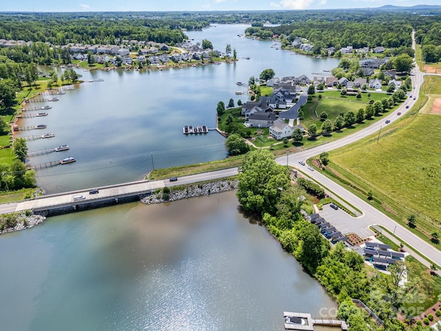 145 Yellow Birch Loop, Mooresville, NC 28117 - aerial view of a nearby body of water