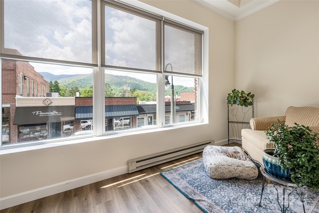 14 N Main St Unit 2, Waynesville, NC 28786 - sitting room featuring a baseboard heating unit, plenty of natural light, wood finished floors, ornamental molding, and baseboards