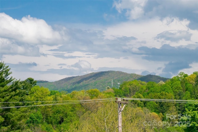 14 N Main St Unit 2, Waynesville, NC 28786 - view of mountain background with a heavily wooded area