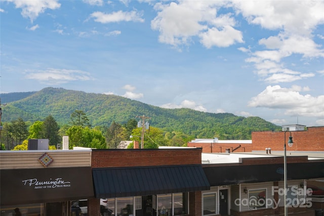 14 N Main St Unit 2, Waynesville, NC 28786 - mountain view with a forest