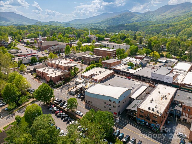 14 N Main St Unit 2, Waynesville, NC 28786 - photo 38