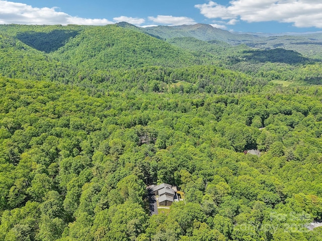 50 Whiskey Creek Rd, Hendersonville, NC 28739 - photo 44