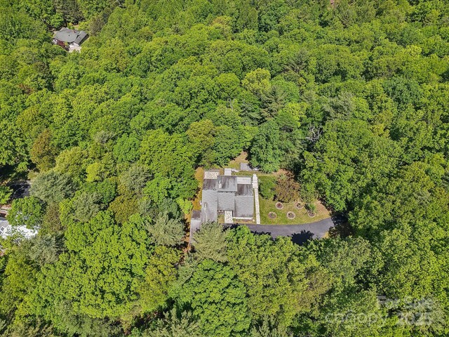50 Whiskey Creek Rd, Hendersonville, NC 28739 - photo 43