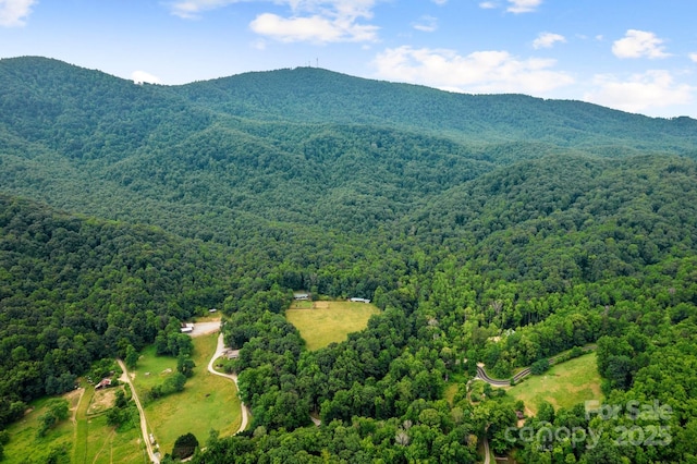 bird's eye view of a forest and mountains