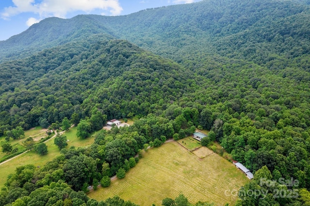 bird's eye view of a forest and a mountainous background