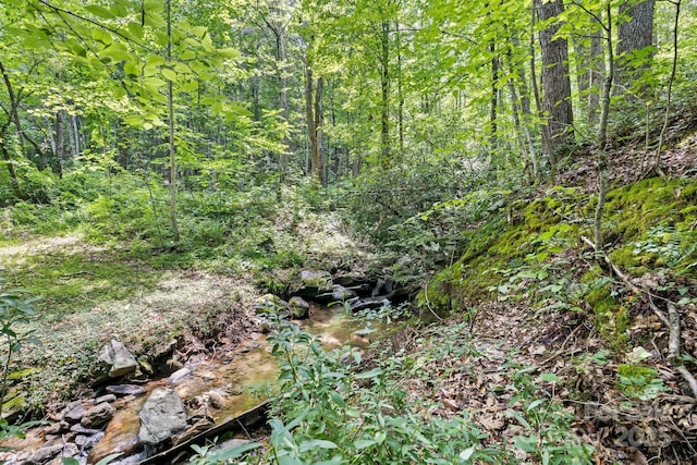 view of woods