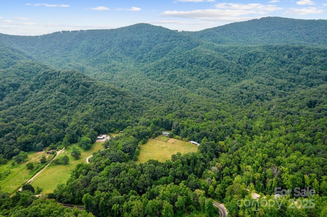 aerial view of a forest and a mountain backdrop