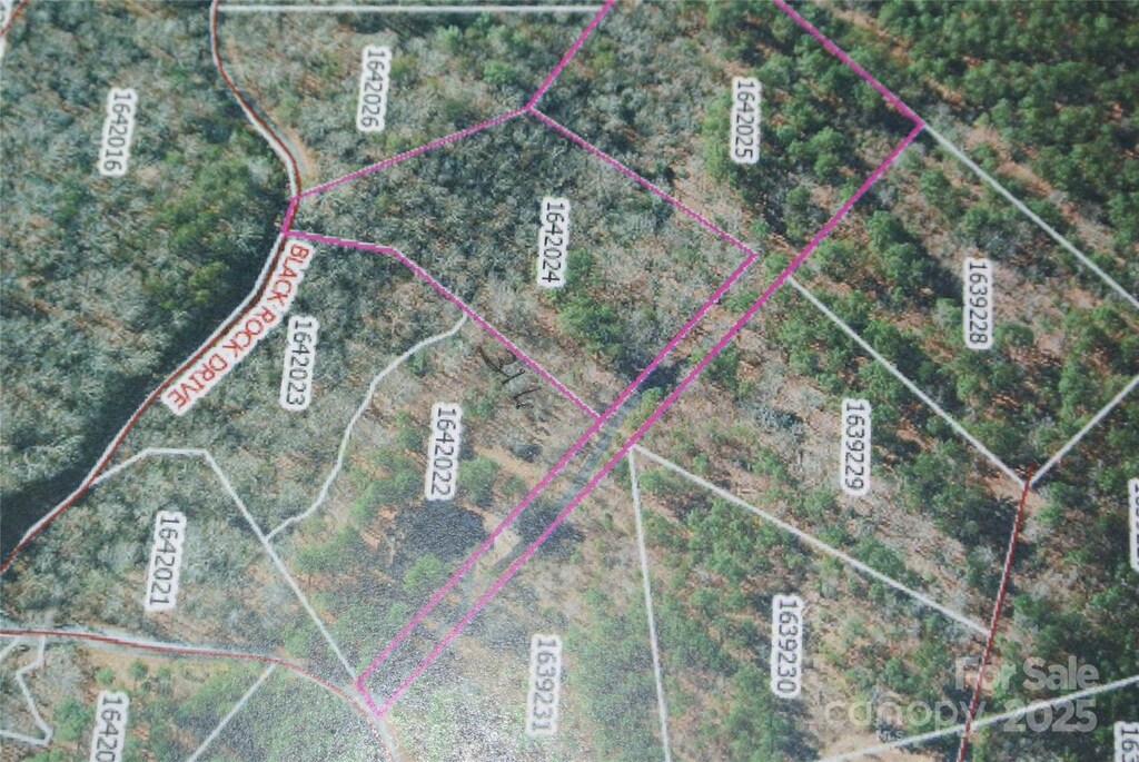 0 Black Rock Drive #40 & 41, Rutherfordton, NC 28139 - photo 1