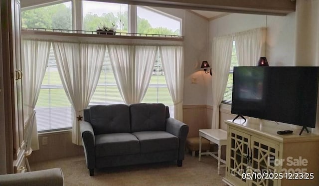 carpeted living area with wainscoting and vaulted ceiling