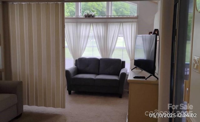 living room featuring carpet floors