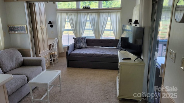 107 Strollers Ln, Waynesville, NC 28785 - photo 21