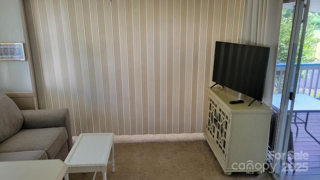 107 Strollers Ln, Waynesville, NC 28785 - photo 22