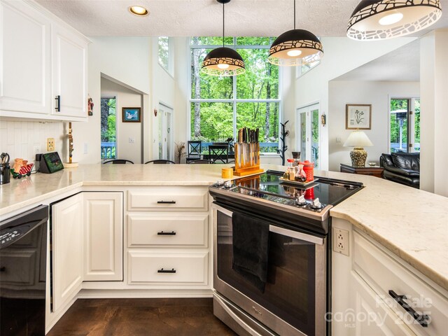 363 Rickel Dr, Hendersonville, NC 28739 - photo 15