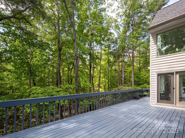 363 Rickel Dr, Hendersonville, NC 28739 - photo 26