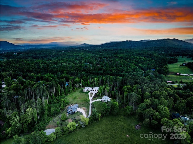 134 Olivia Trace Dr, Fletcher, NC 28732 - aerial view of property and surrounding area featuring a heavily wooded area and a mountainous background