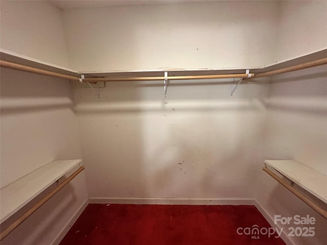 5495 Valley Run St, Hickory, NC 28601 - view of spacious closet