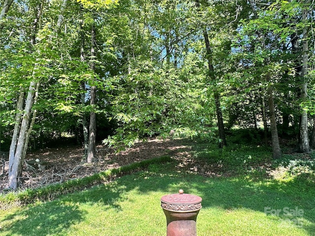 5495 Valley Run St, Hickory, NC 28601 - view of grassy yard