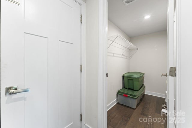 walk in closet featuring dark wood-style floors