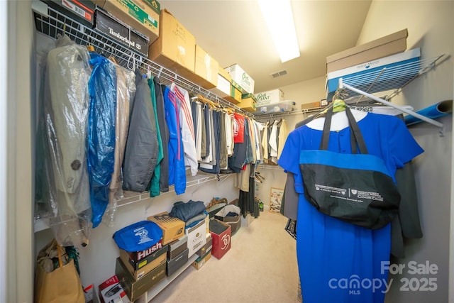 6310 Highland Commons Rd, Charlotte, NC 28269 - walk in closet with carpet floors