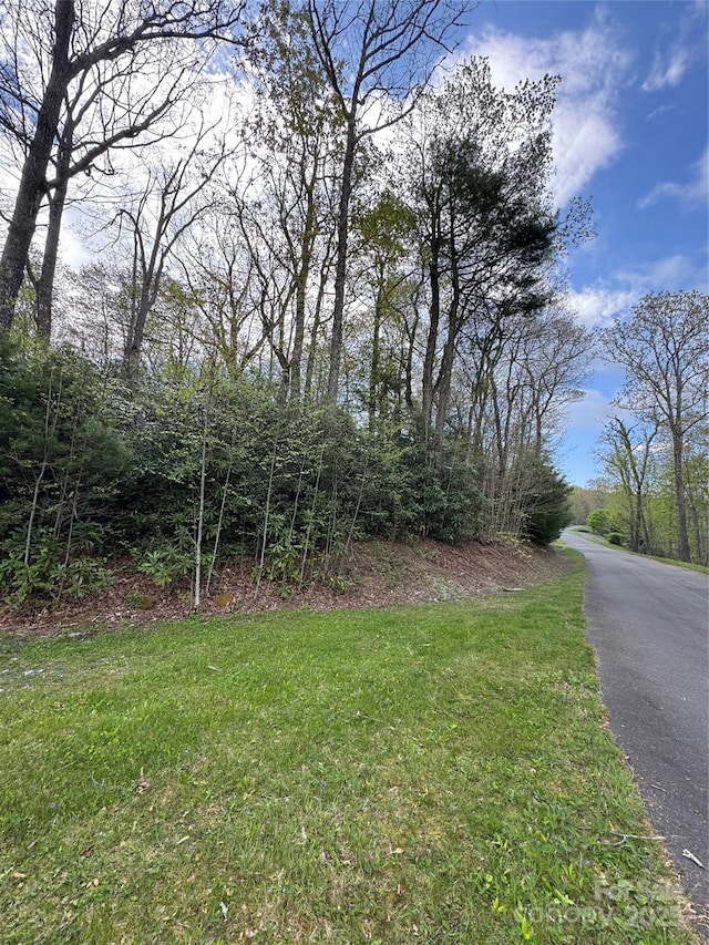 TBD Black Bear Trl Unit 23, Linville, NC 28646 - photo 1