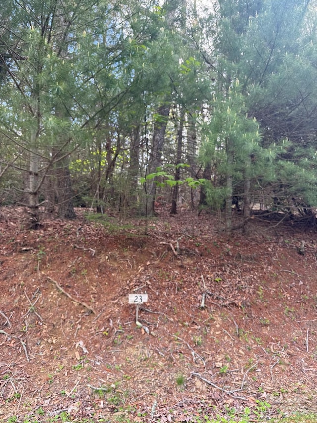 TBD Black Bear Trl Unit 23, Linville, NC 28646 - photo 2