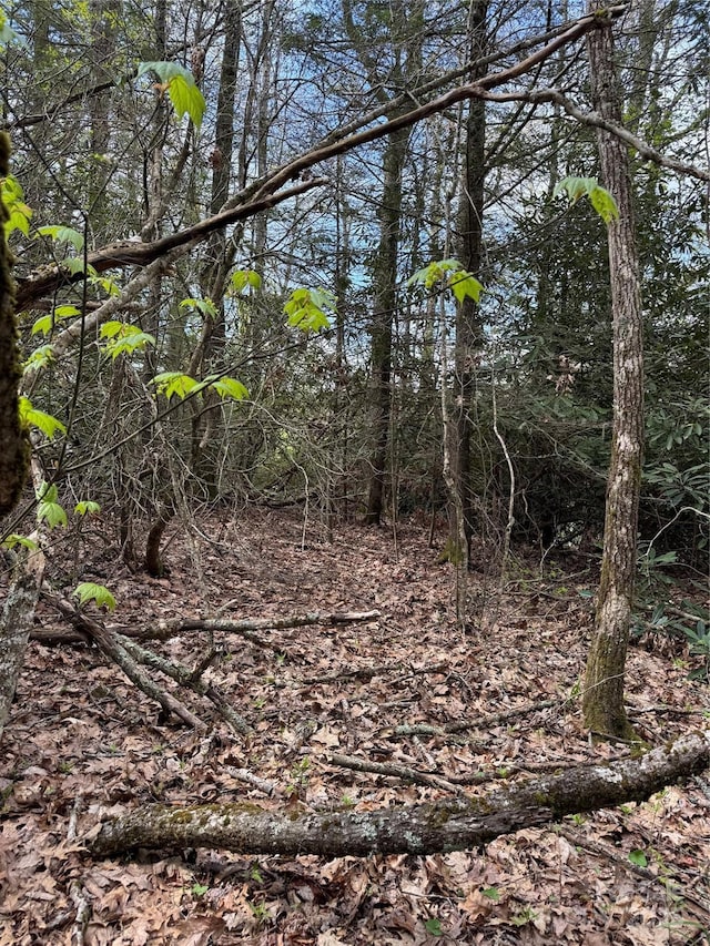 TBD Black Bear Trl Unit 23, Linville, NC 28646 - photo 3