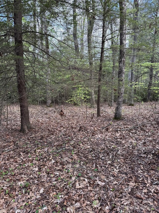 TBD Black Bear Trl Unit 23, Linville, NC 28646 - photo 4