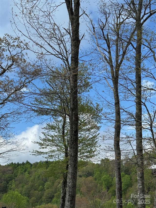 TBD Black Bear Trl Unit 23, Linville, NC 28646 - photo 5