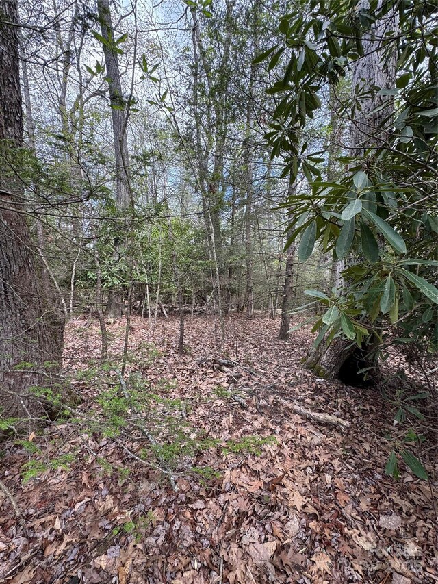TBD Black Bear Trl Unit 23, Linville, NC 28646 - photo 6